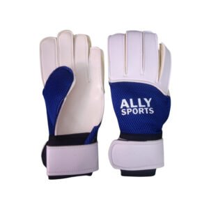 Ally Sport