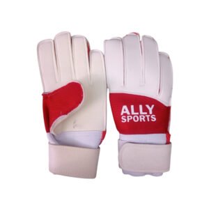 Ally Sport
